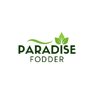 logo-artboard-5-optimized